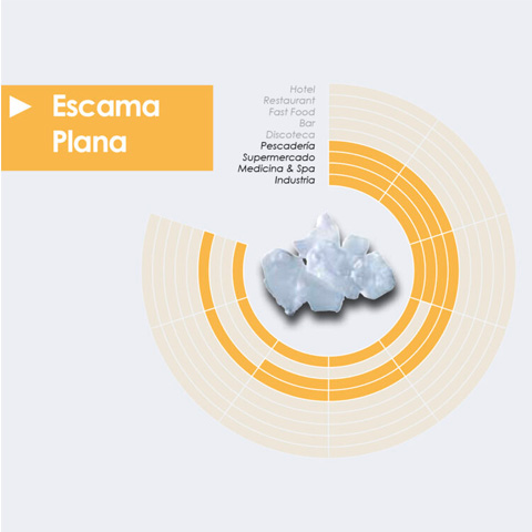 Detalle hielo escama 2